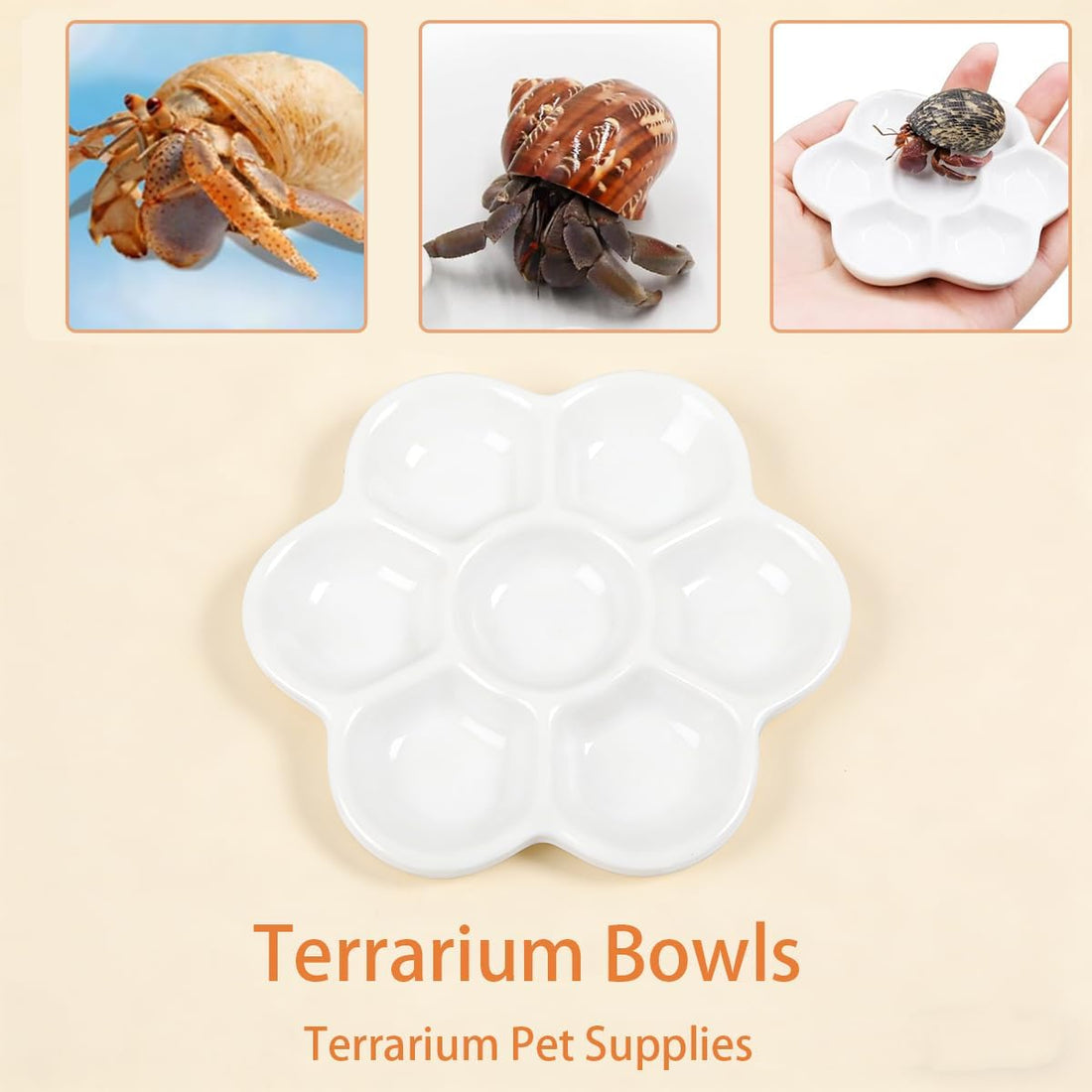 2 Pack Terrarium Bowls, Hermit Crab Water Dishes & Water Bowl