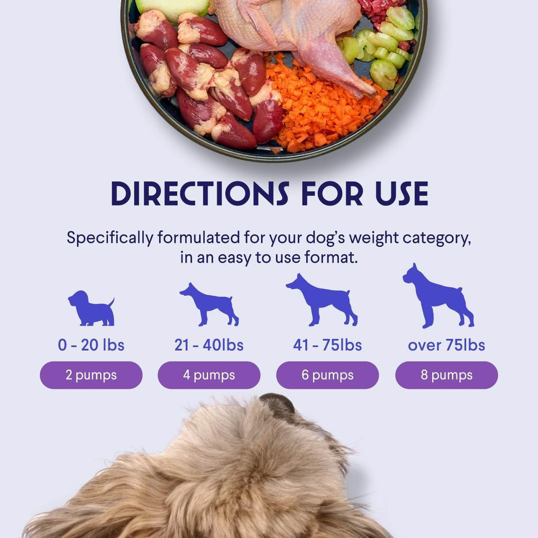 Premium Salmon Oil for Dogs – Pure Norwegian Salmon Oil High in Omega