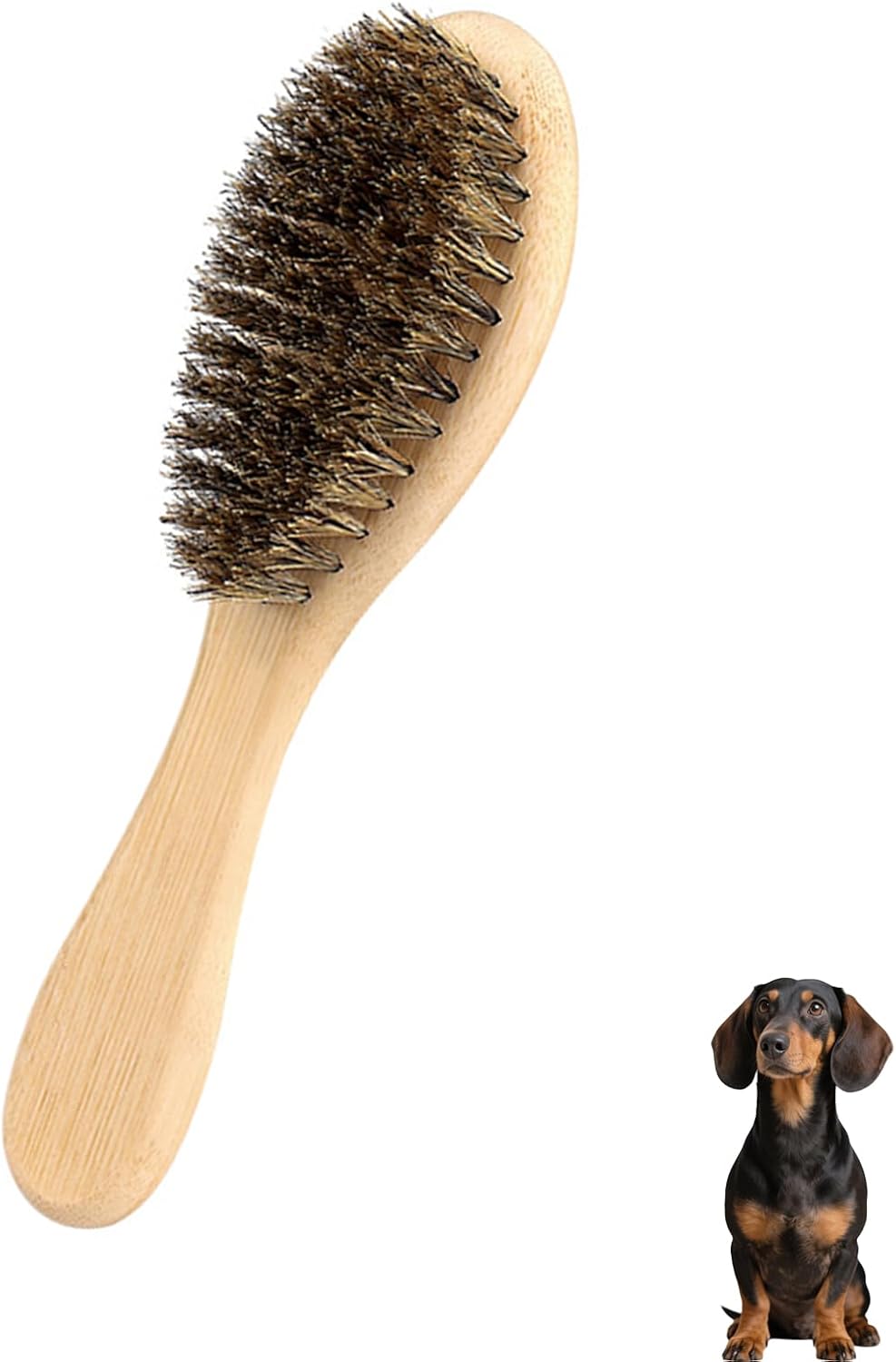 Soft Boar Bristle Dog Brush for Short Haired, Ideal Pet Hair Brush