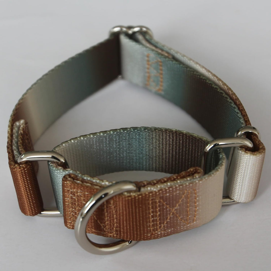 Martingale Dog Collar Colorful Gradient Fashionable