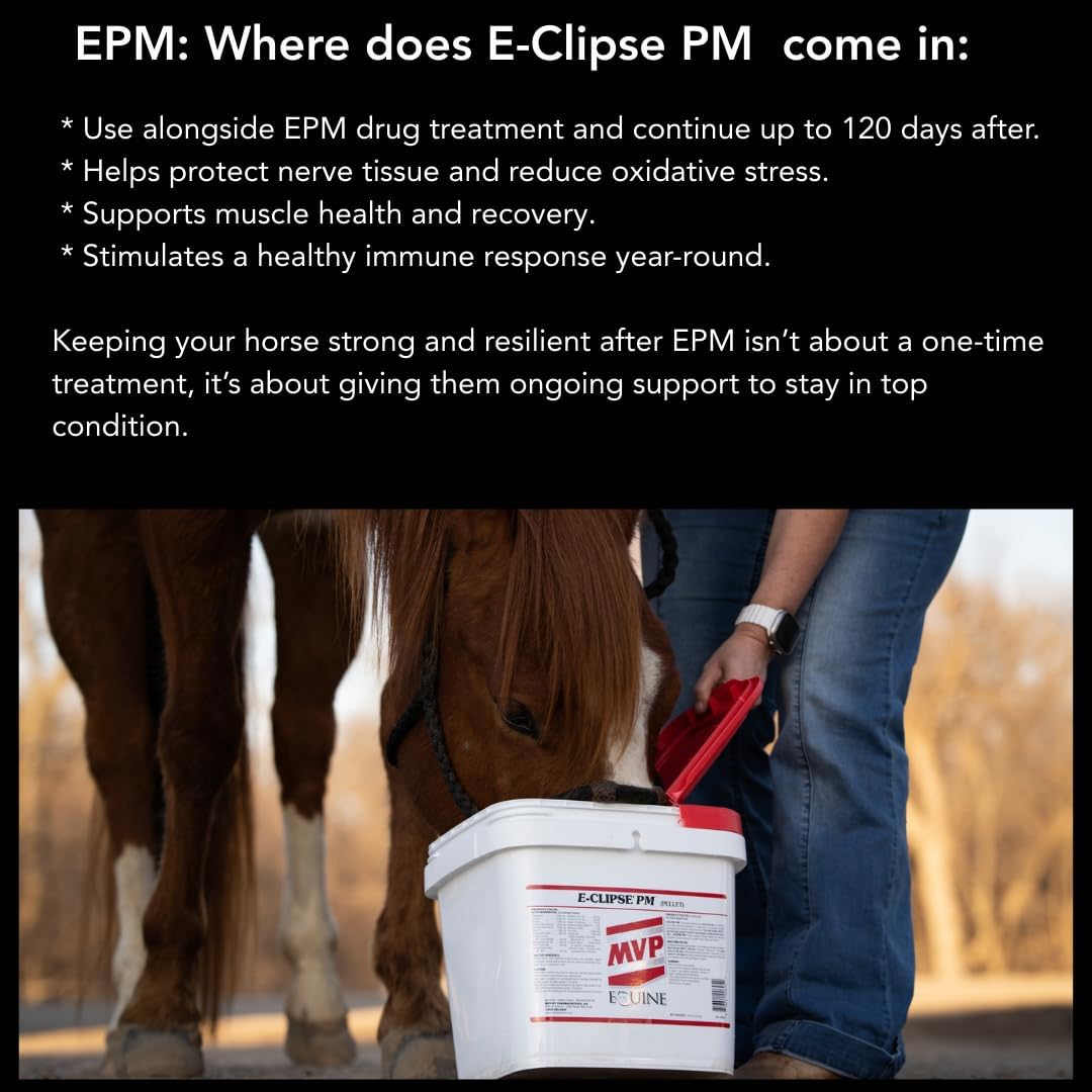 E-Clipse PM (6 lb) Neurologic Health/Immune Support for Horses