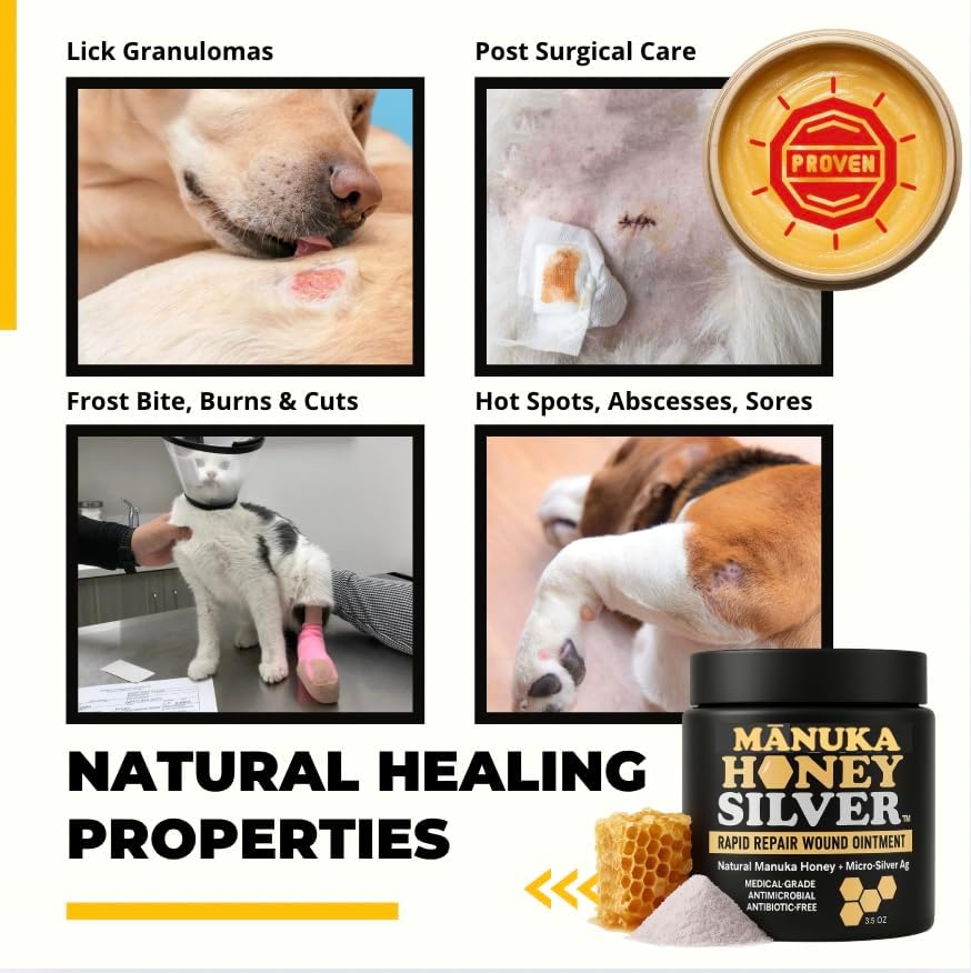 Well-Being Manuka Honey Silver Rapid Wound Repair Ointment For Dogs