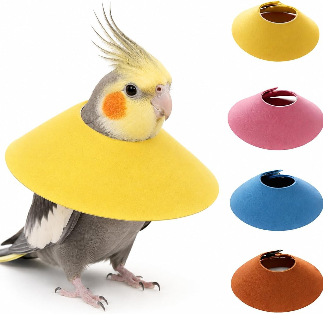 4Pcs Bird Cone Collar for Wound Biting Prevention & Anti Plucking