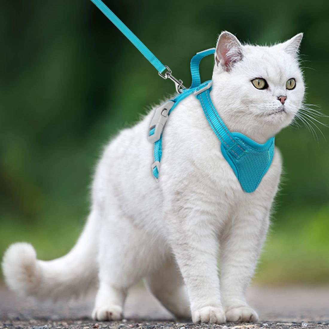 Cat Harness and Leash Set Escape Proof for Kitten Walking