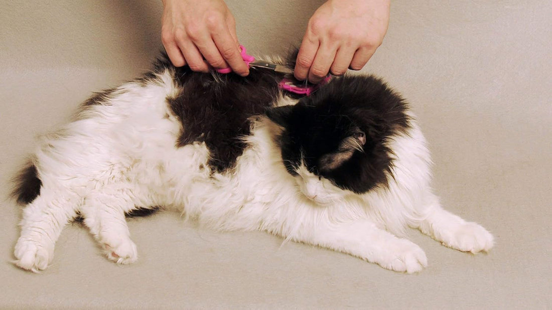 Silent Pet Grooming Kit for Dog, Cat and All Pet Grooming