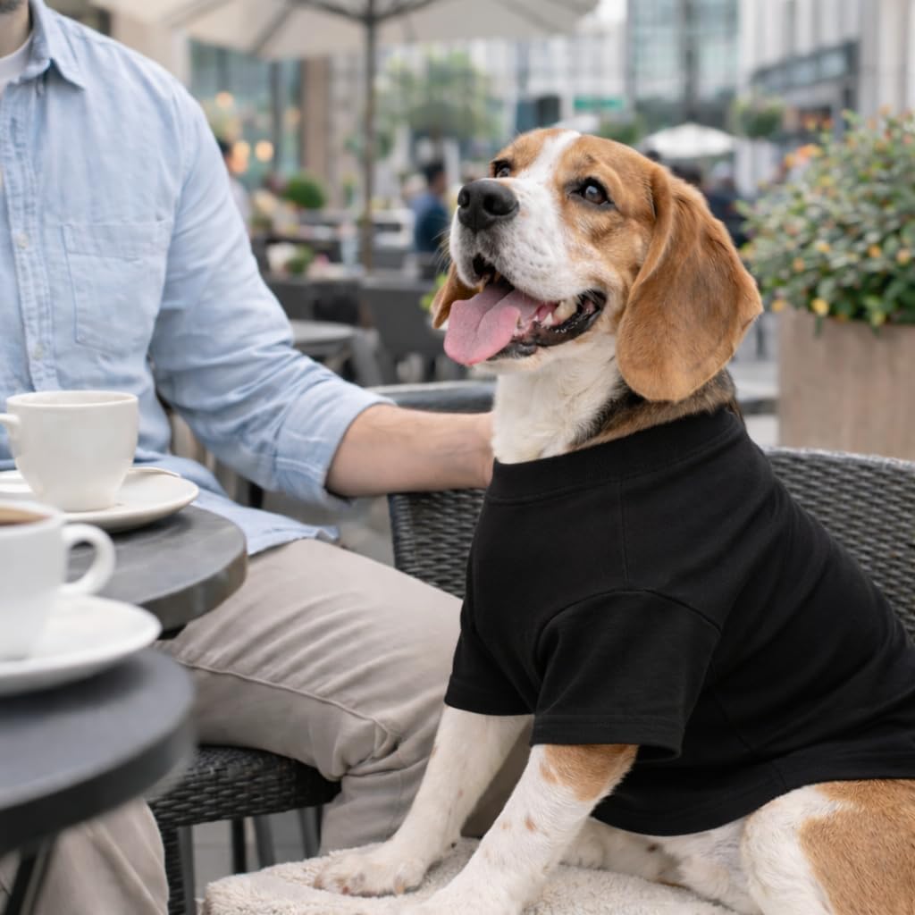 Lovelonglong Pet Clothing Dog Costumes Basic Blank T-Shirt Tee Shirts