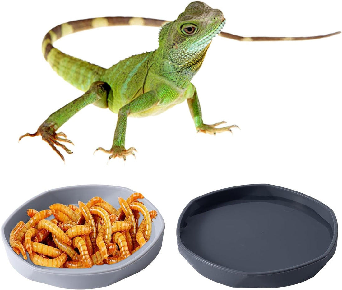COMSUN 4 Pack Small Reptile Food Dish Bowl