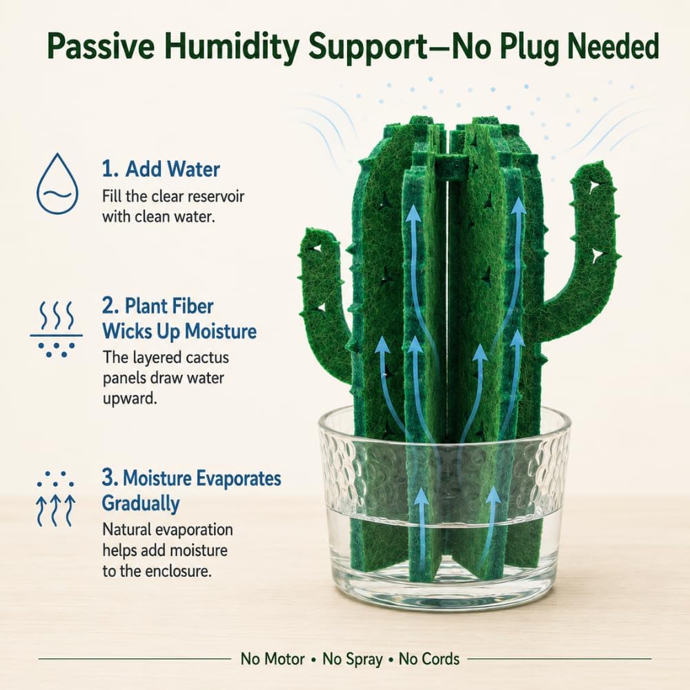 Reptile Humidifier, 2 Pack Passive Cactus Terrarium Decor