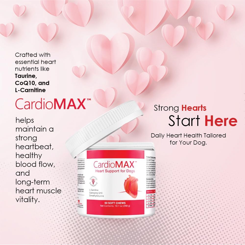 Heart Support Supplement for Dogs-Vet-Formulated