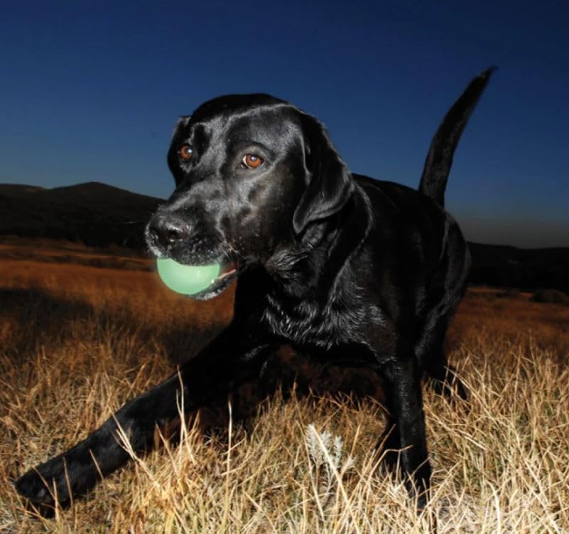 Chuckit! Max Glow Balls, Bouncy Ball for Dogs, Medium, 2.5in, 2 Pack