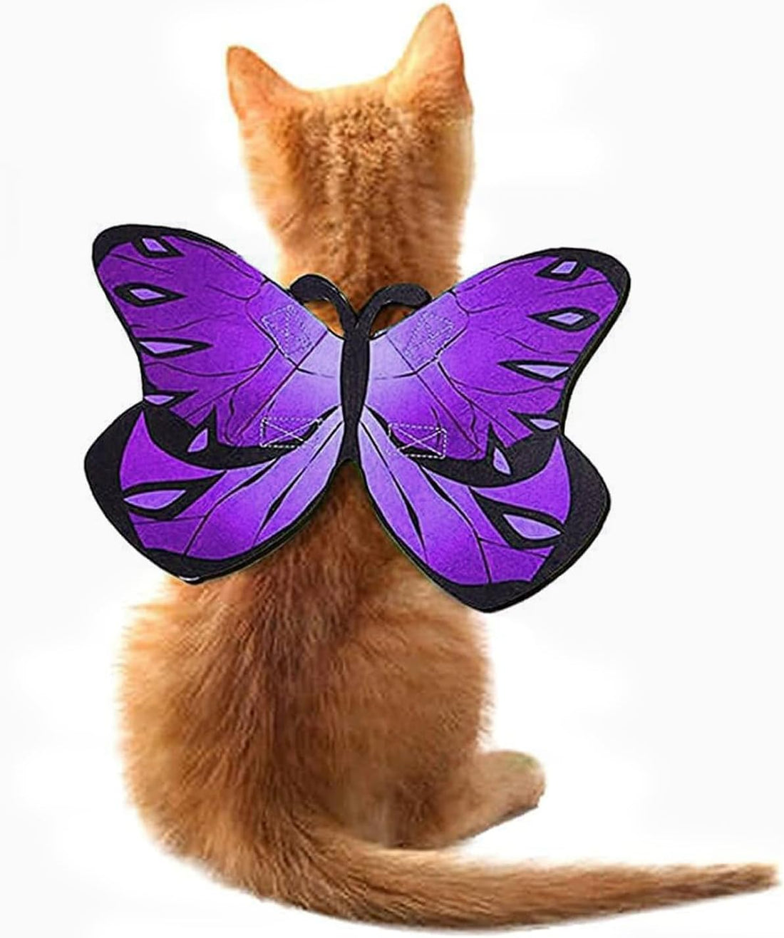 Cat Dog Butterfly Costume Wings for Halloween Party Decoration
