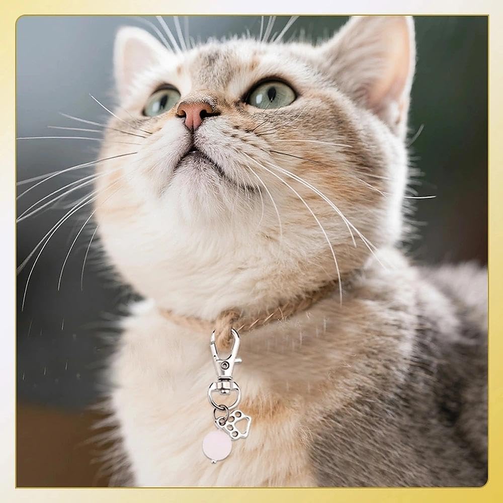 Cat Collar Charm Pendant for Kitty Necklace Accessory Cat Collar