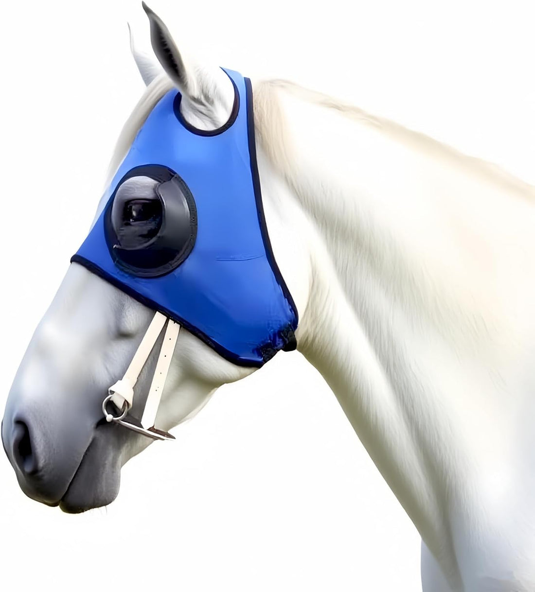 Adjustable Horse Fly Masks - Focus Aid for Racing & Training,Super