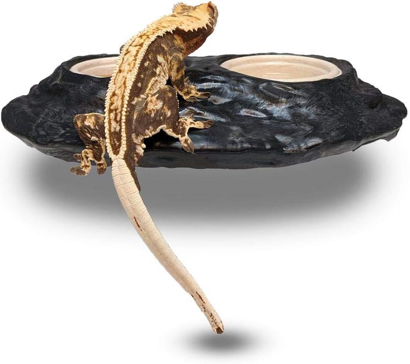 Pangea Ultimate Gecko Ledge - Magnetic Feeder for Crested Geckos