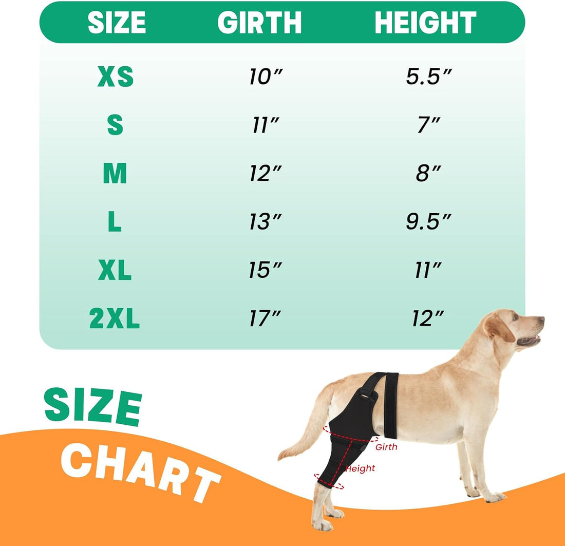 Dog Rear Leg Sleeve to Stop Licking