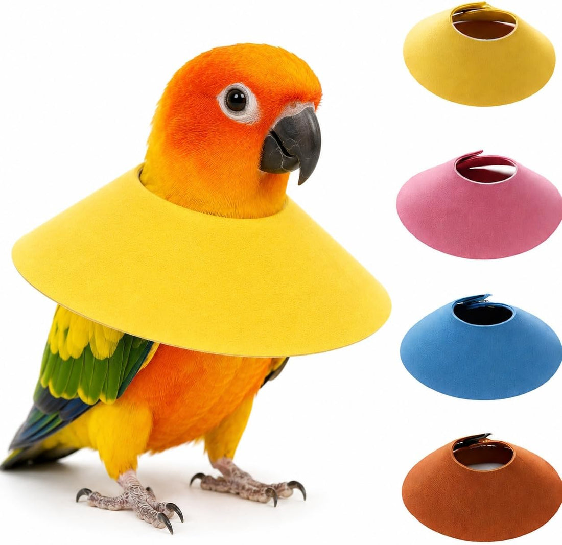 4Pcs Bird Cone Collar for Wound Biting Prevention & Anti Plucking