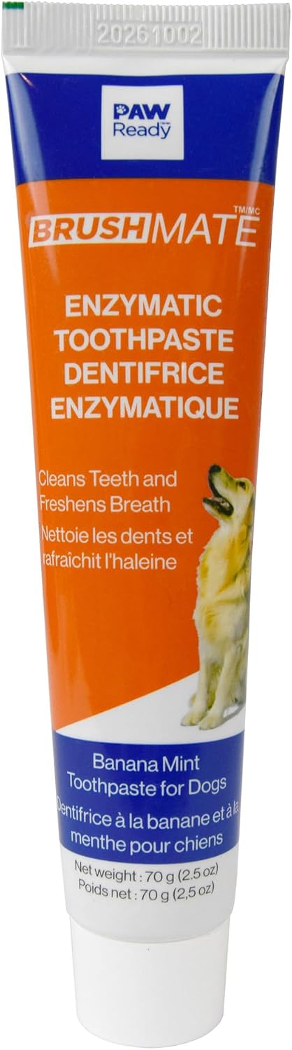 Paw Ready from Doggy Breath to Doggy Fresh Dog Dental Care Enzymatic