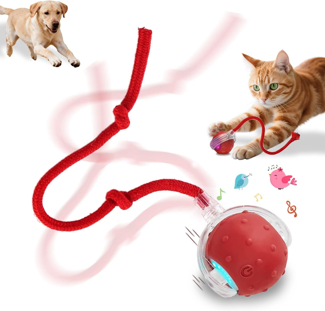 Interactive Cat Toys Smart Ball for Cats & Dogs! Now with 2 Rapid