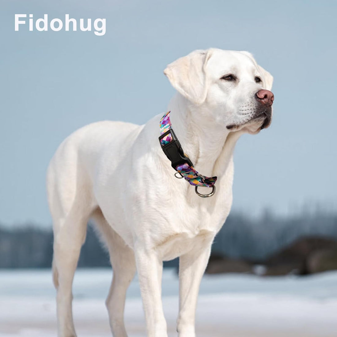 Reflective Martingale Collar for Dogs with Quick Release Buckle No