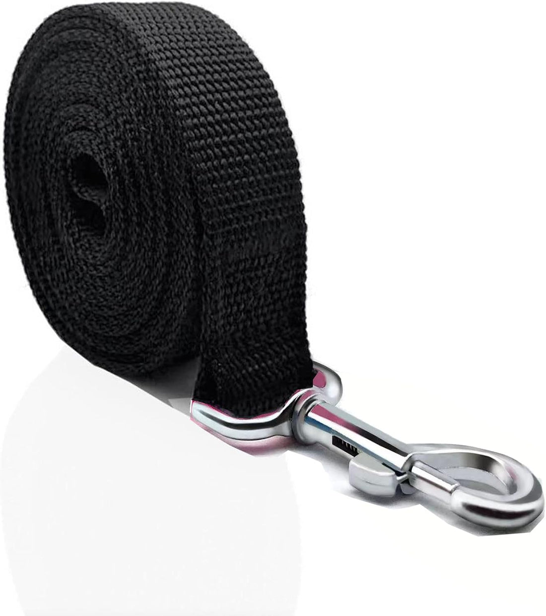 Nylon Dog Leash 8 Feet Long, Walking Training Dog Leashes for Medium
