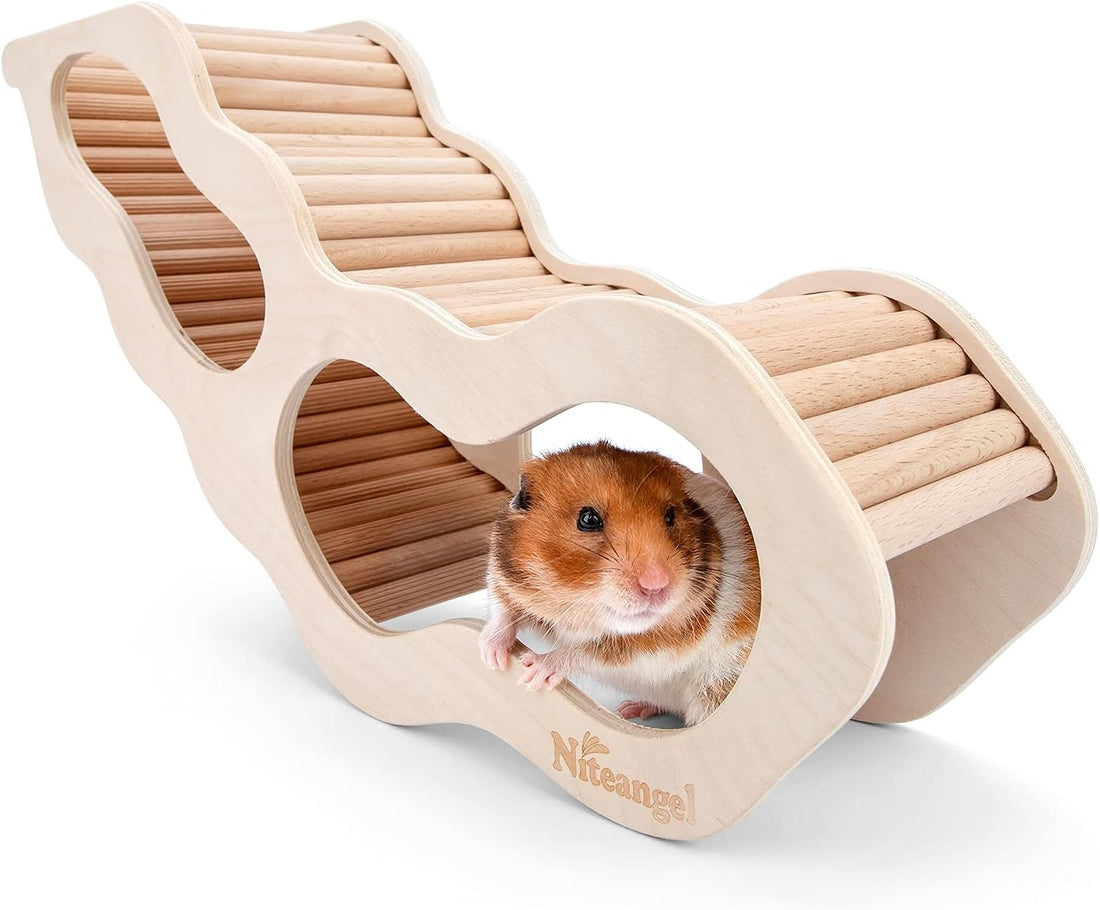Niteangel Hamster House w/Climbing Ladder for Hamsters Gerbils Mice