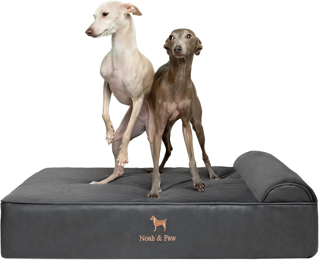 NOAH & PAW Large Dog Bed Orthopedic Memory Foam Cooling Gel 35x25x8.7