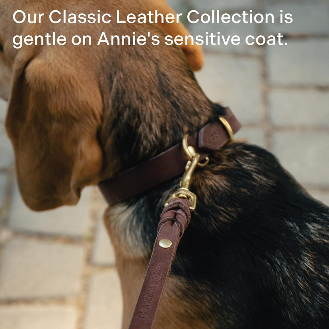 Scout Supply Classic Leather Dog Leash