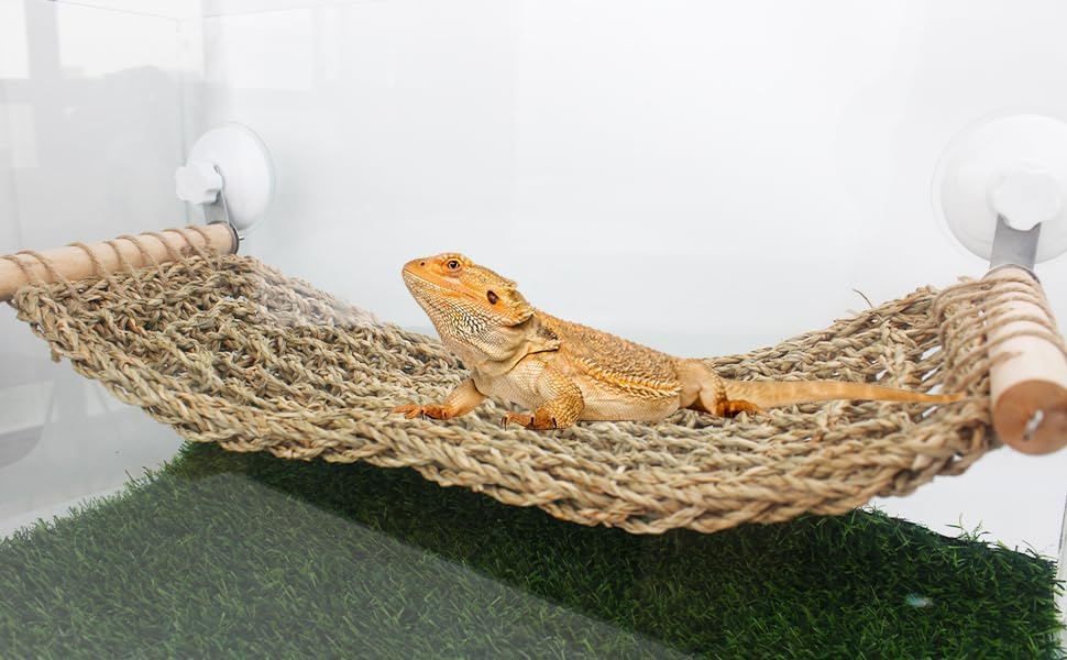 FlidRunest 21.6 x 7.8 in Seagrass Bearded Dragon Hammock for Window