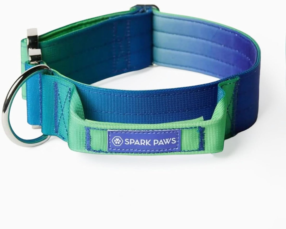 Spark Paws Tactical Large Dog Collar w/Handle - Thick & Wide