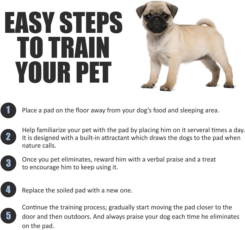 BV Puppy Pads Leak-Proof 100 Count 22"x 22"