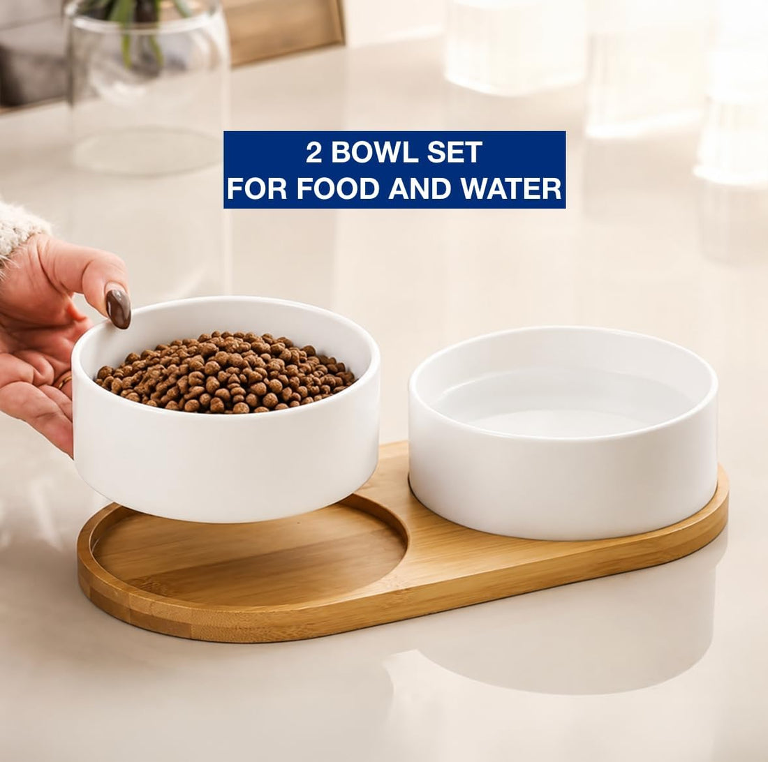Ceramic Small Dog and Cat Bowls-Set of 2 Pet Dishes with Non-Slip