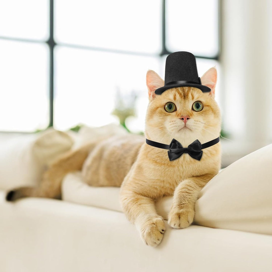 Pet Formal Accessories Set 2 Pcs Dog Costume Top Hat with Formal Pet