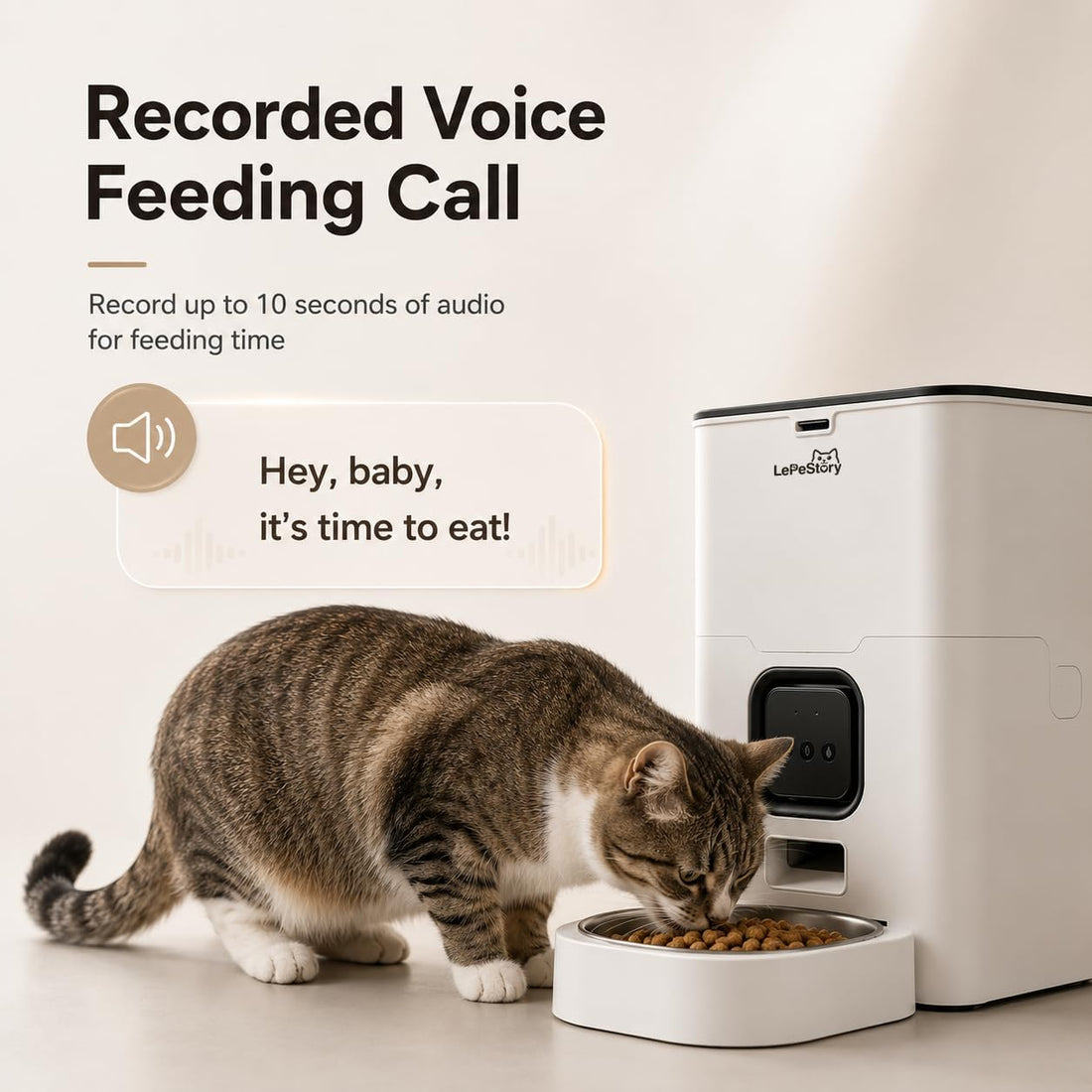 Automatic Cat Feeder with APP