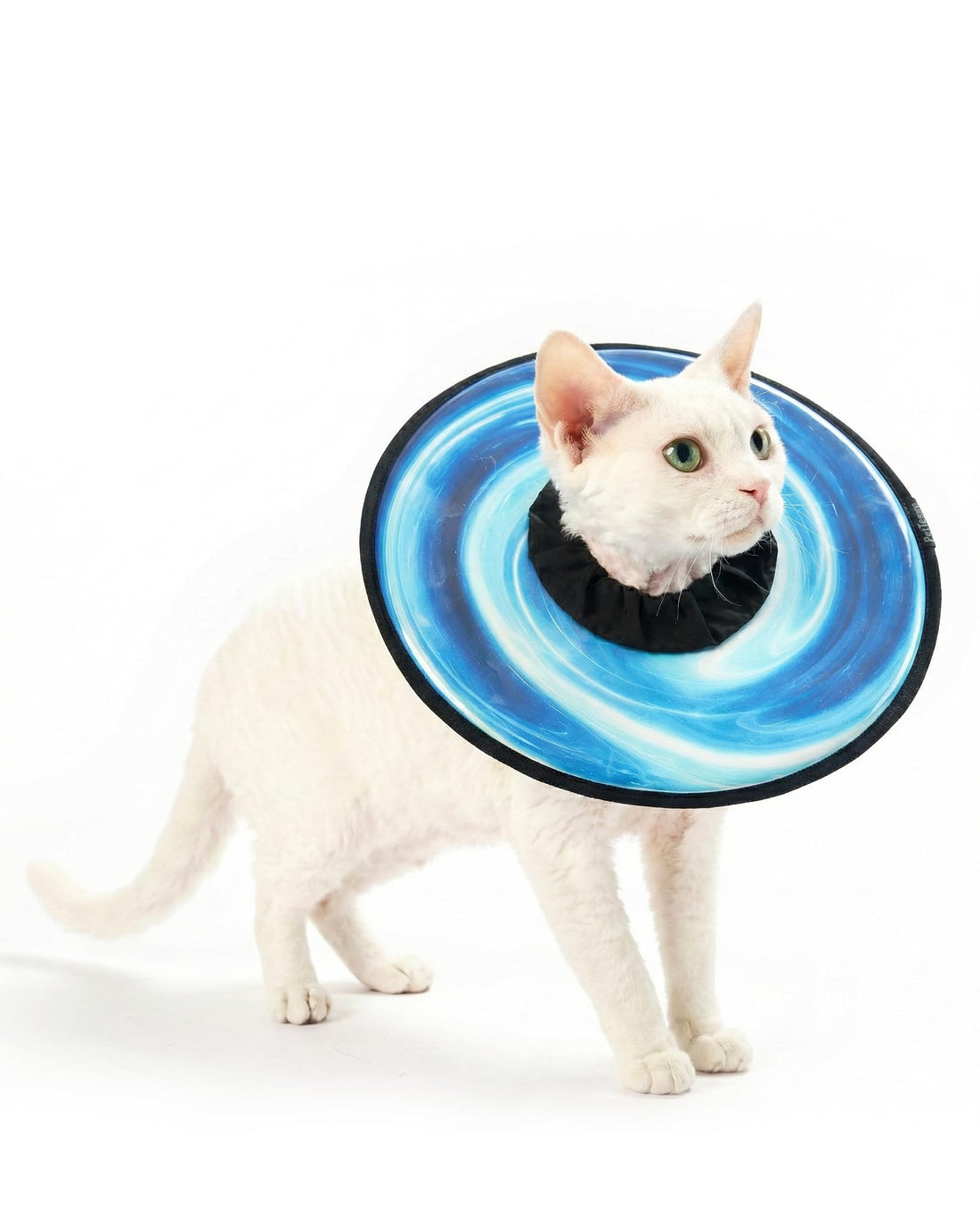 PetThem Soft Cat Cone Collar, Adjustable Cat Recovery Collar