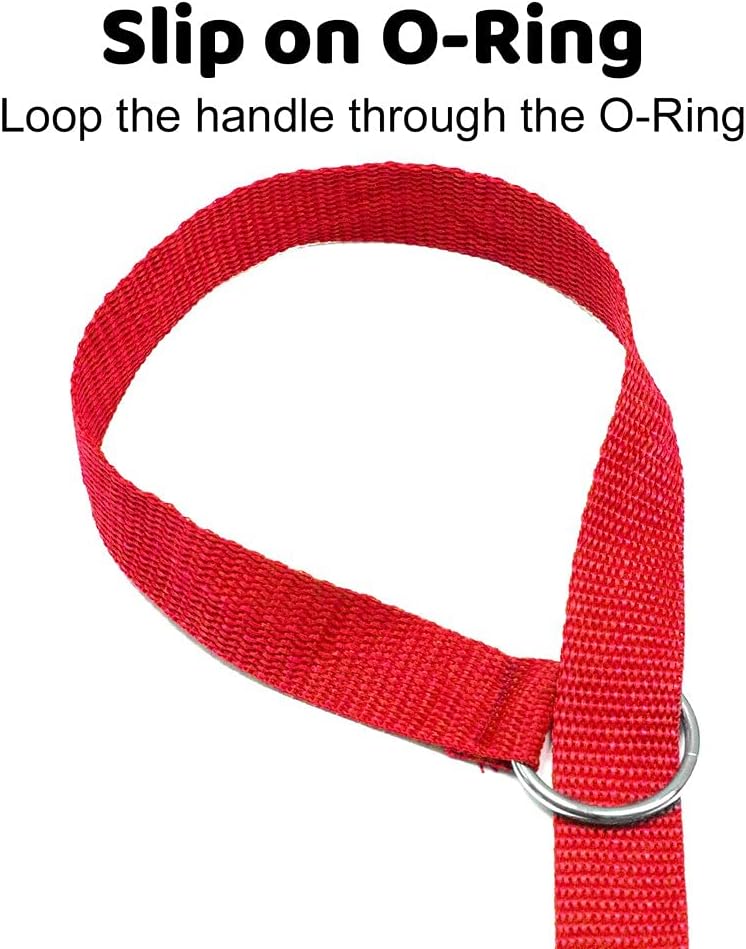 Downtown Pet Supply Slip Lead Dog Leash 6 Pack, 4' x 1/2"
