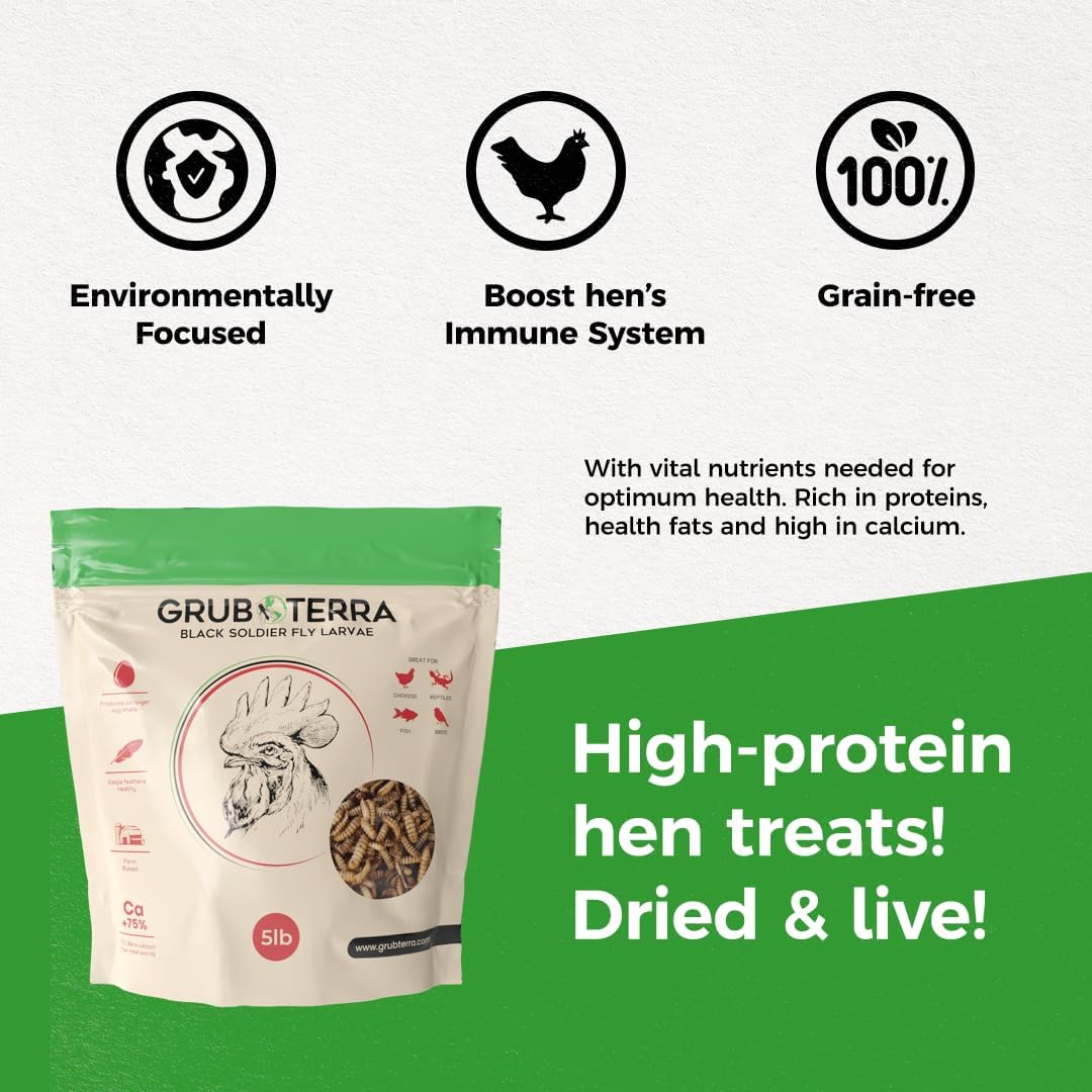 GrubTerra Black Soldier Fly Larvae for Chickens