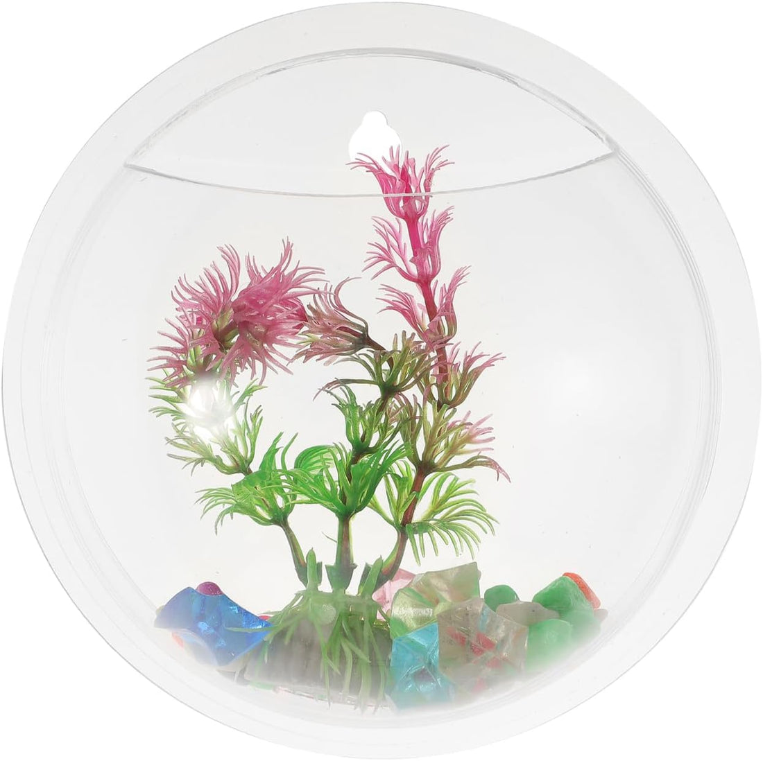 Wall Bowl Wall Hanging Fish Bowl Fish Bowls for Centerpieces Hanging