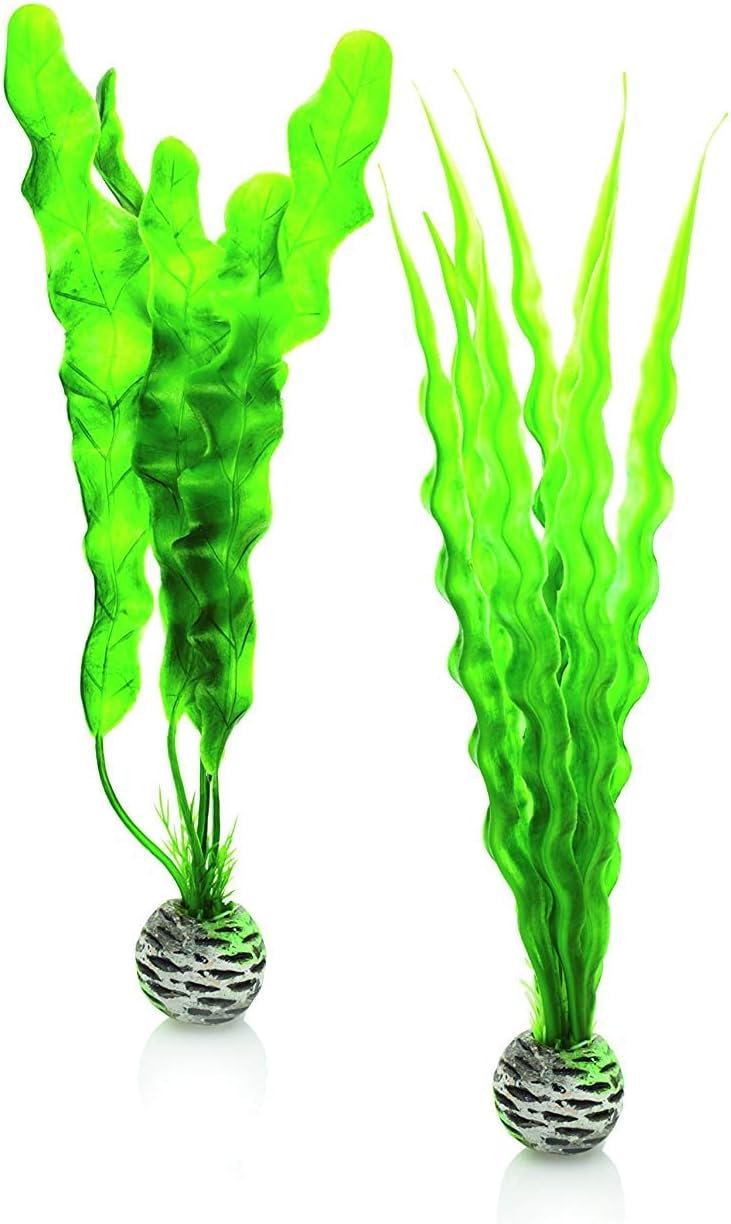 biOrb Silk Plant Set Medium Green & Purple