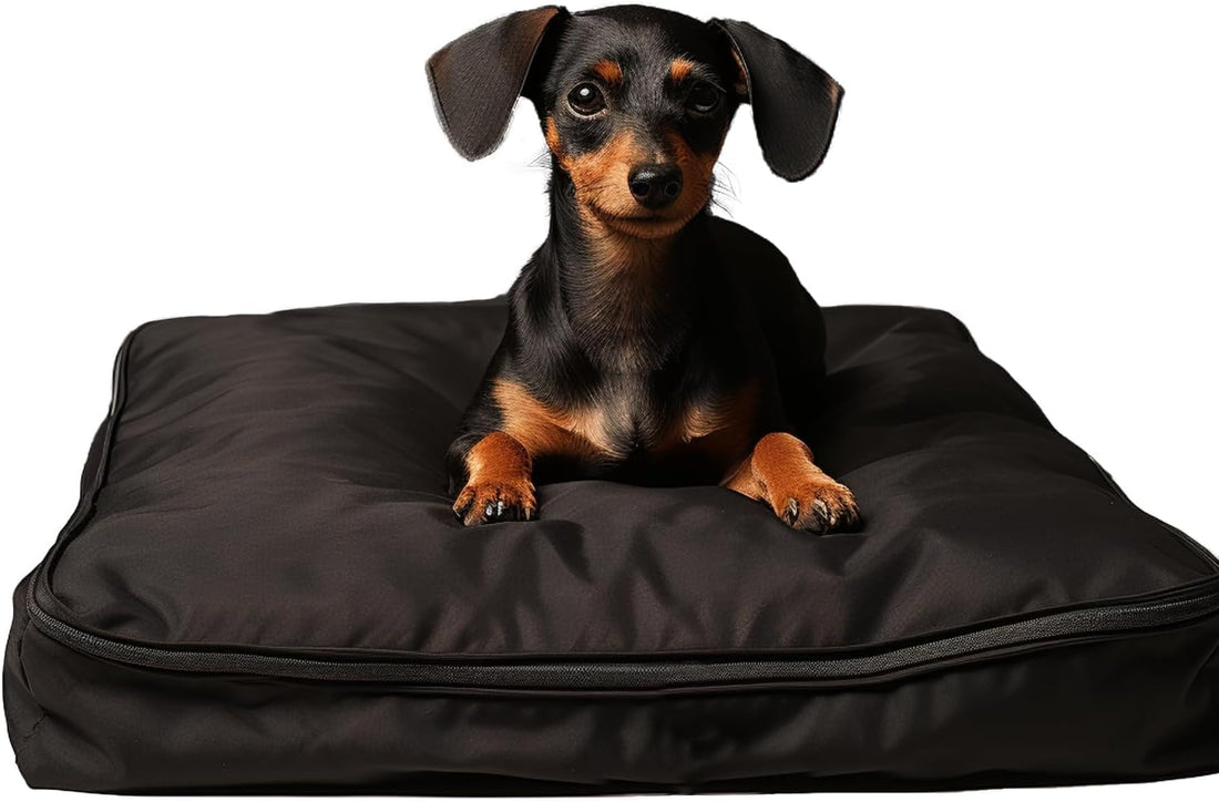 Dog Bed Covers 36L × 27W × 3H Inch Washable Grey Thickened Waterproof