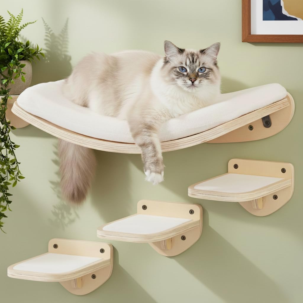 Cat Wall Shelves, Walnut Floating Cat Furniture with Bed & Steps