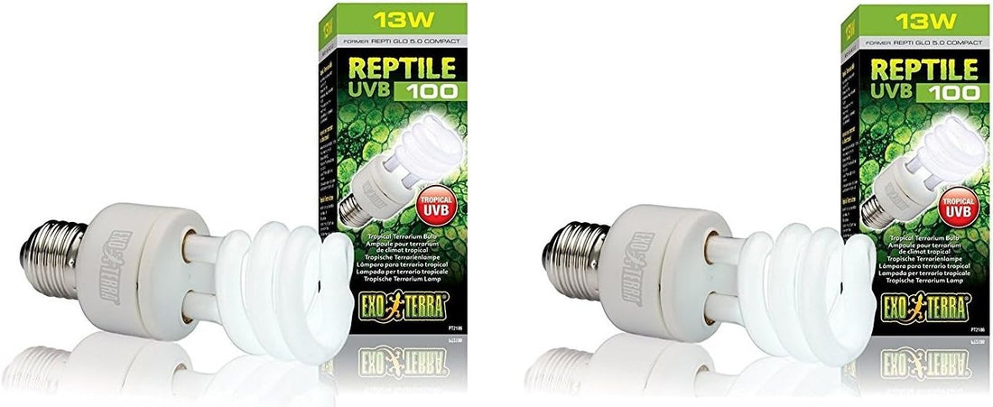 Exo Terra Repti-Glo 5.0 Compact Fluorescent Tropical Terrarium Lamps
