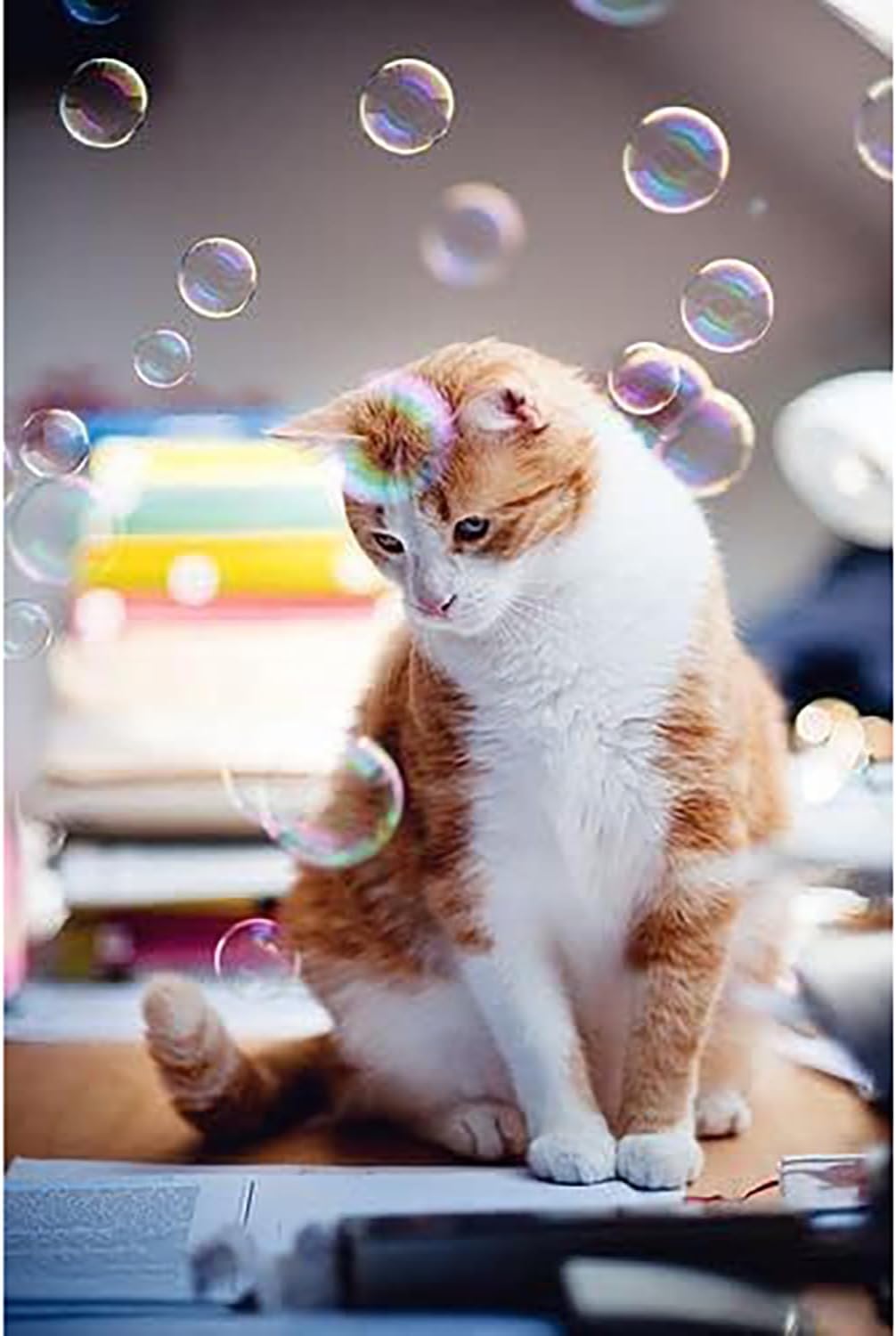 Kitty Love Bubbles: 2 Pack Catnip Scented - 4oz Bottles