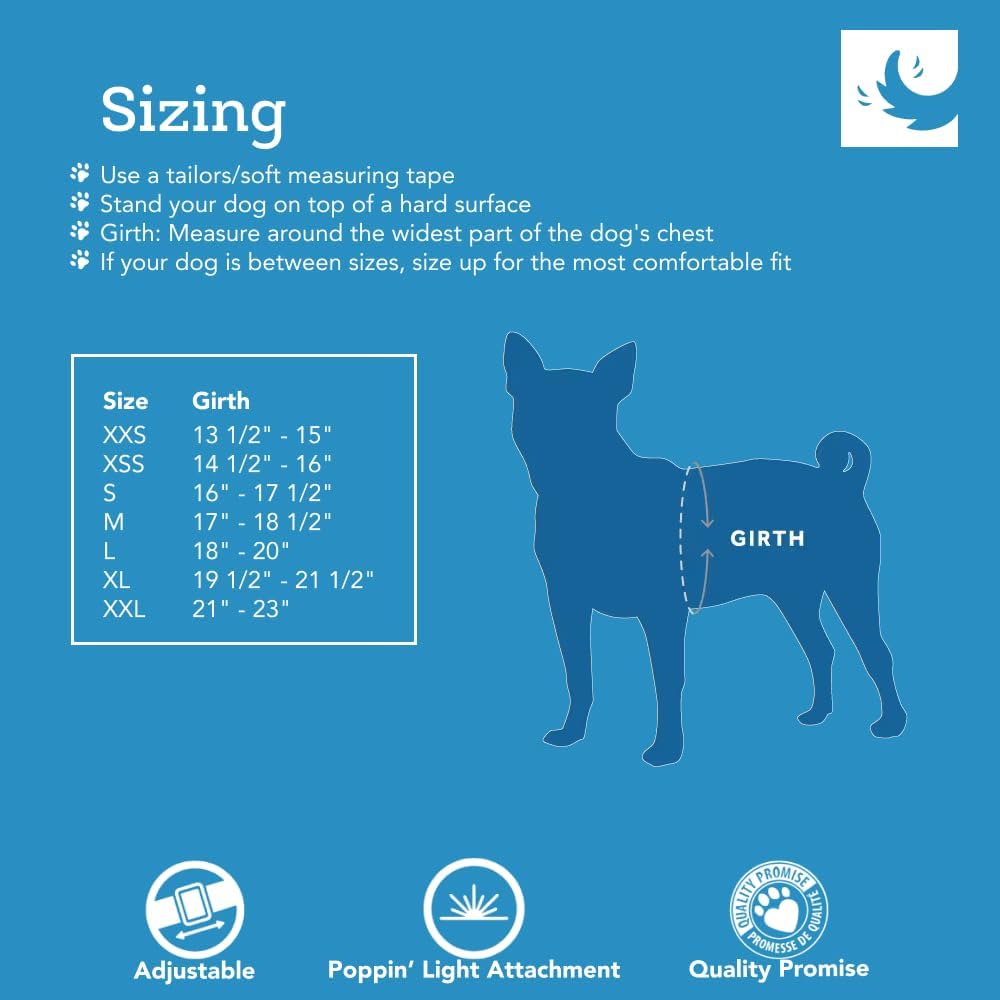 RC Pet Products Cirque Soft Walking Step-in Dog Harness, Small
