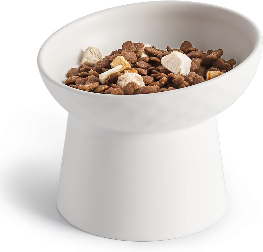 YauYik Raised Cat Bowl, Elevated Cat Food Bowls with Tilted Angle