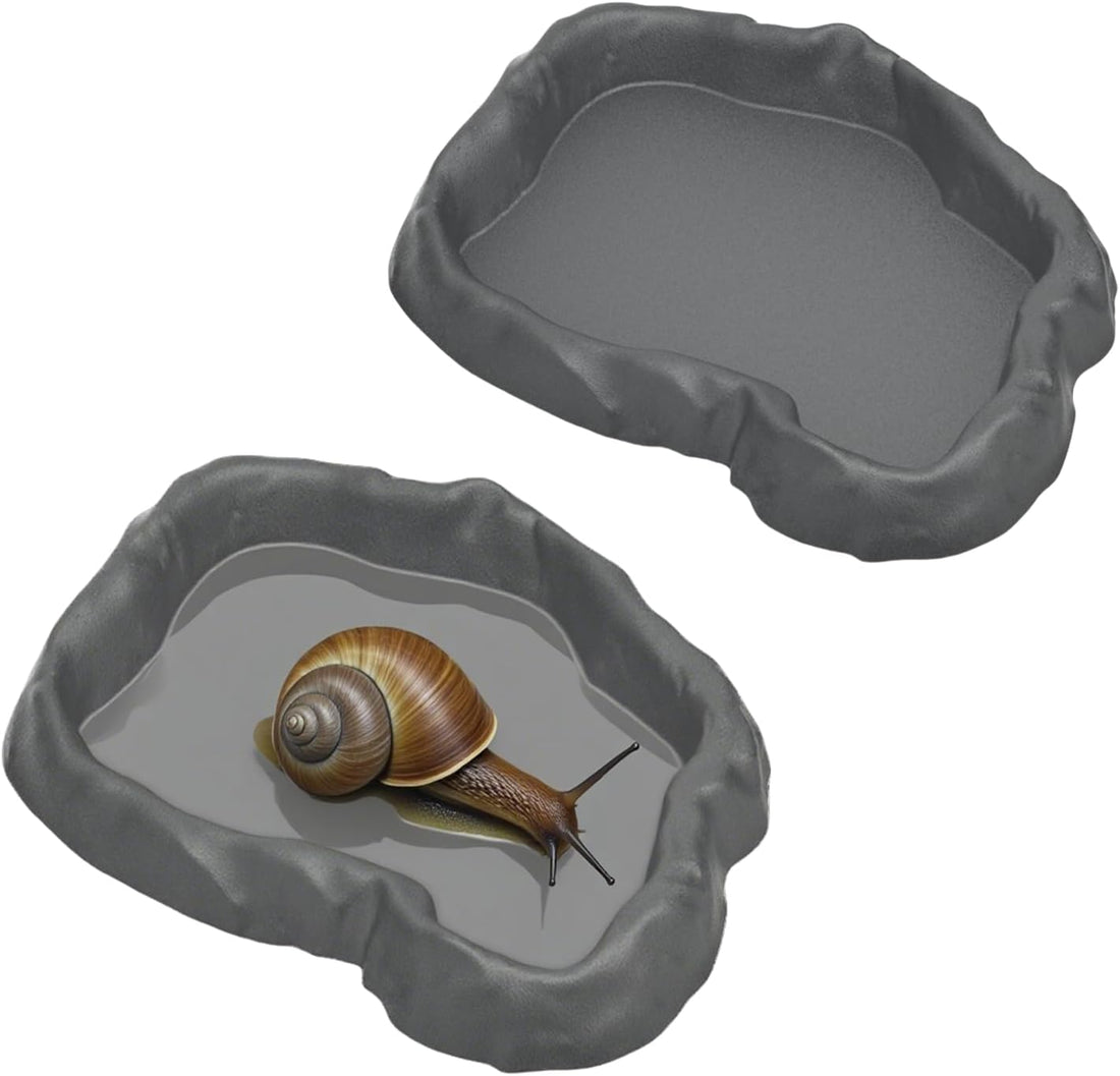 2 Pack Snail Water and Food Bowl,atural Design Food Bowl for Pet