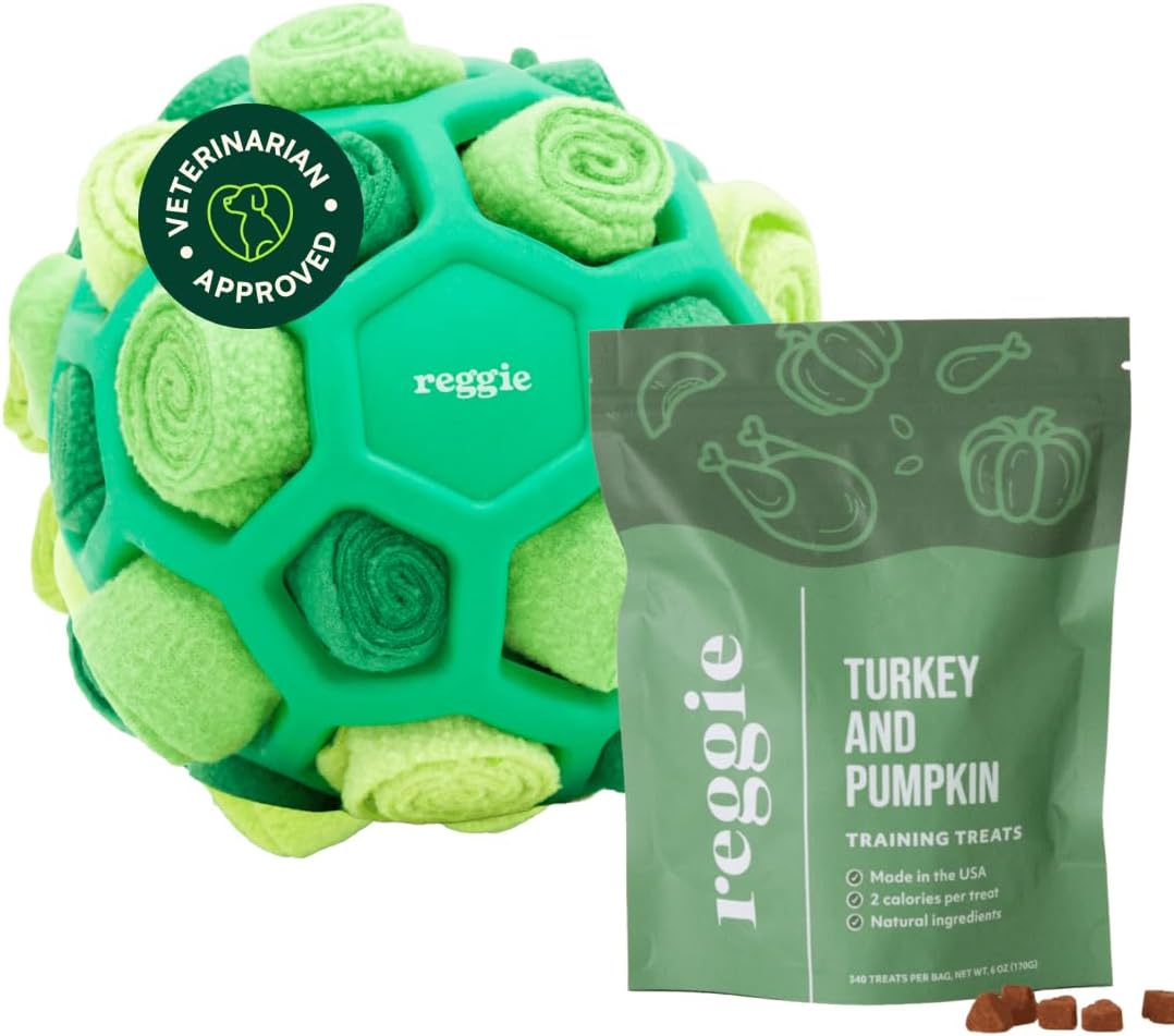 Reggie Snuffle Ball for Dogs