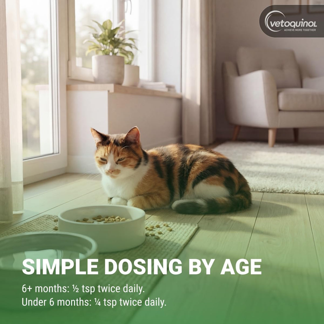 Vetoquinol Viralys Daily L-Lysine Gel for Cats and Kittens
