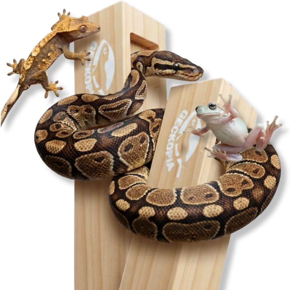 GECKOPIA Reptile Flex Bridge Large (Plain Wood, 18 Inch Long)