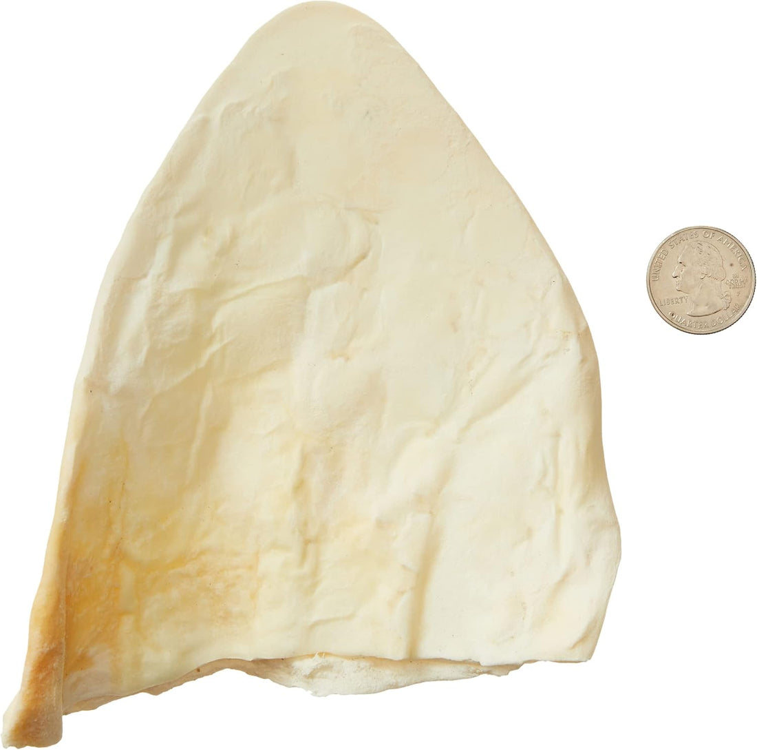 Wonder Bound Cow Ears Dog Treats, Pack of 12, Beef, Highly Digestible