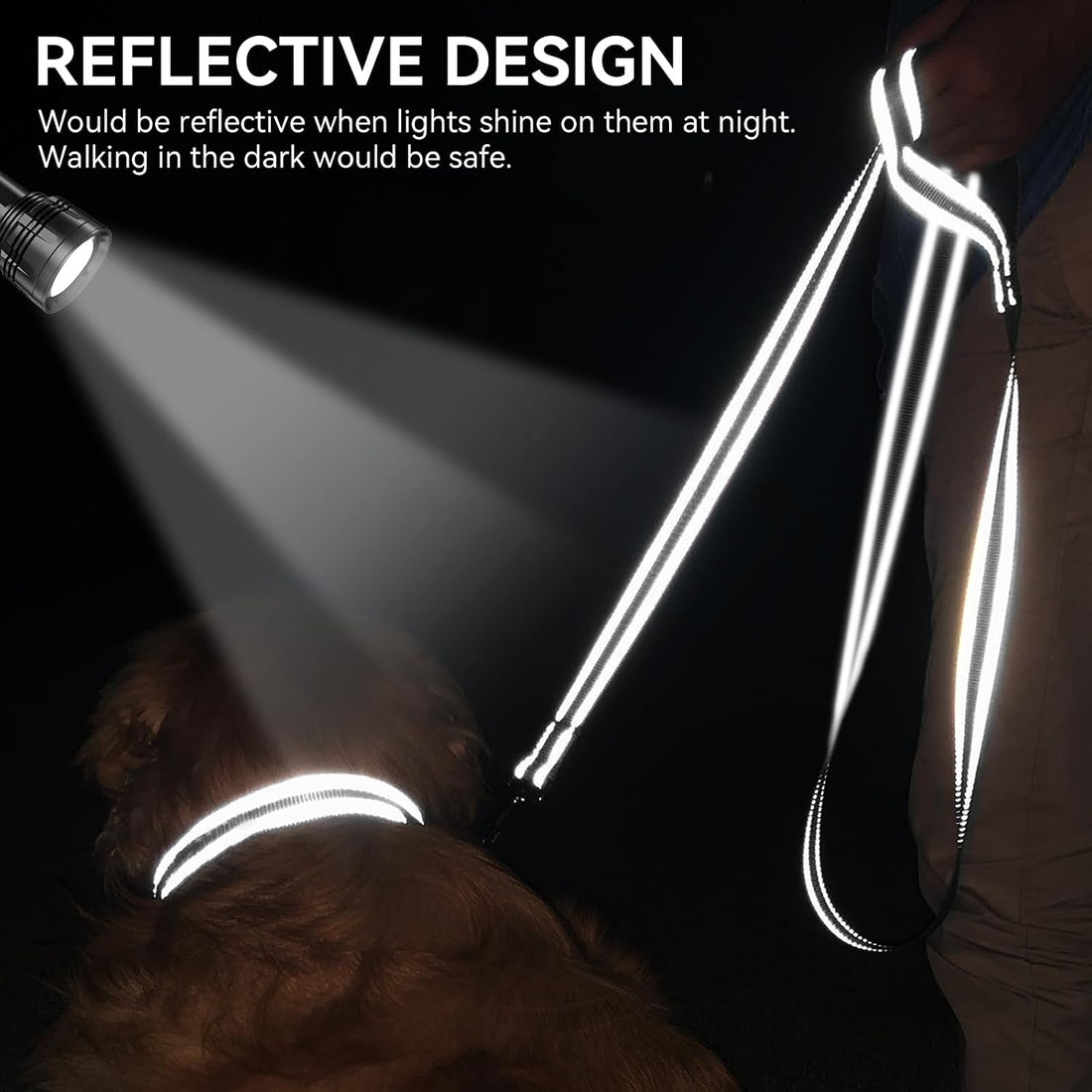 Joytale Dog Leash, 6 FT Double-Sided Reflective